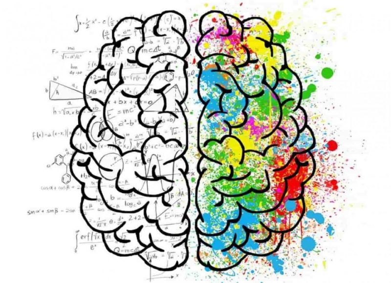brain-2062057_1280-min-scaled